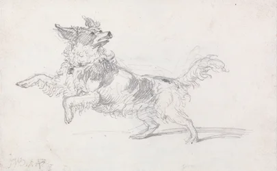 De hond van Lady Londonderry